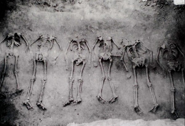 Những bộ xương sau khi được các nhà khảo cổ khảo quật